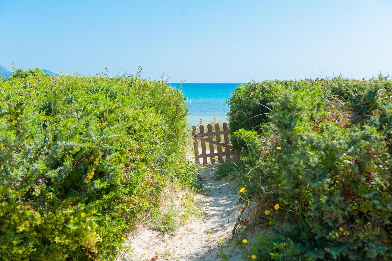 Sa Platja Ferienhaus Playa de Muro (Mallorca)